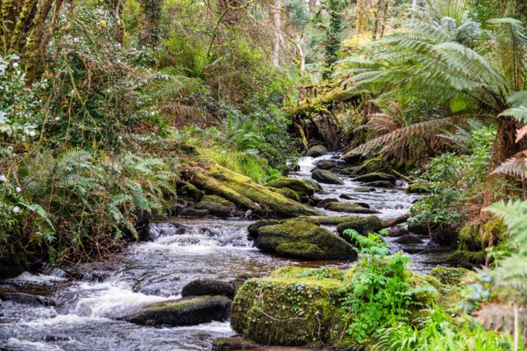 1 River Ramble