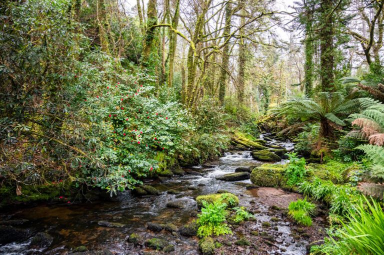 2 River Ramble