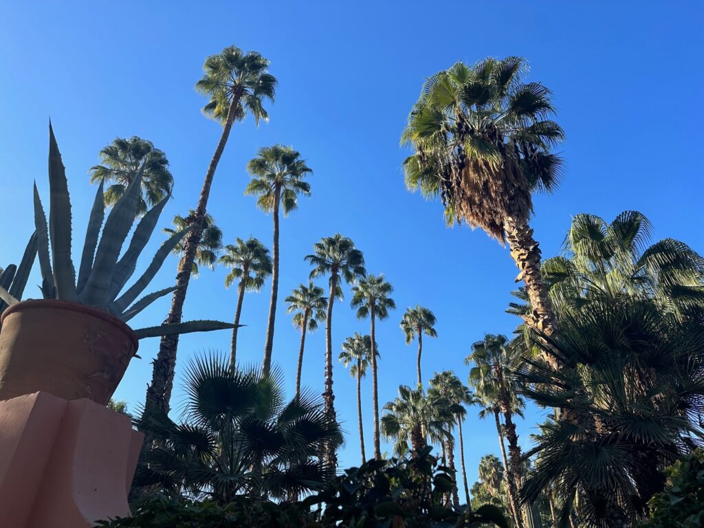 Morroco Diaries