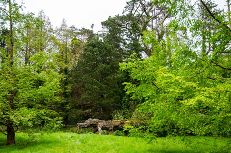 8 Bamboo Glade