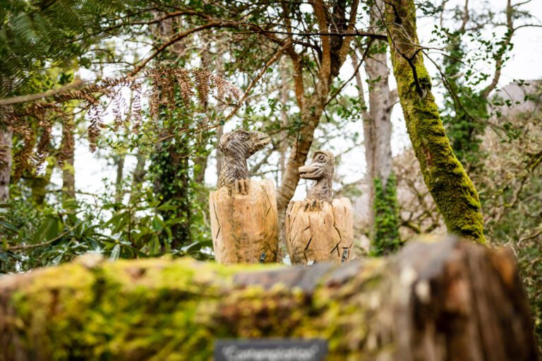 8 Cliff Walk