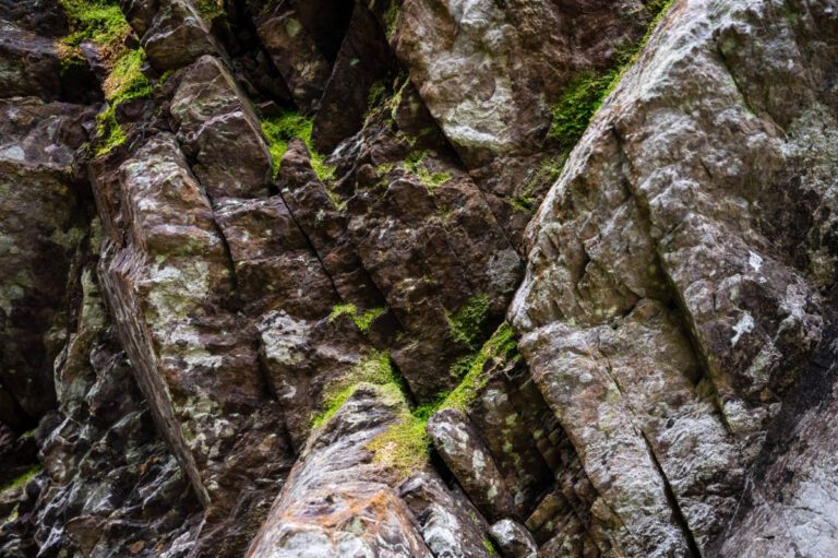9 Cliff Walk
